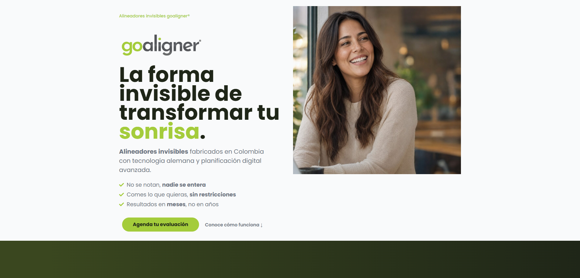 Goaligner