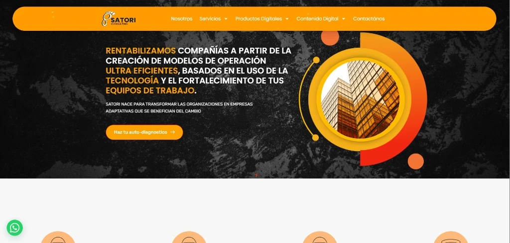 Satori Latam Consulting